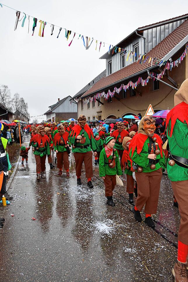 Bild 12: Schlüchttalnarrentreffen in Nöggenschwiel: So beeindruckend war das Event