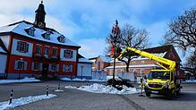 Unter Zuhilfenahme des Hubwagens rüsten die Bauhofmitarbeiter in der Stadt sechs Christbäume zu Narrenbäumen um.