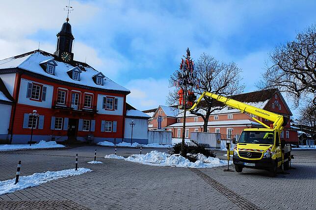 Unter Zuhilfenahme des Hubwagens rüsten die Bauhofmitarbeiter in der Stadt sechs Christbäume zu Narrenbäumen um.