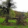 Bild :