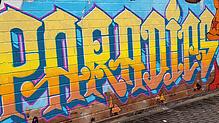 So sieht es aus, das gelungene Graffiti an der Braunegger Straße nahe der HTWG. Das verleiht Farbe und Fröhlichkeit.