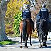 Im Frühjahr 2020 kontrollierte die Polizei vermehrt am Seeufer in Radolfzell, sie war auch mit einer berittenen Streife unterwegs. Ein ...