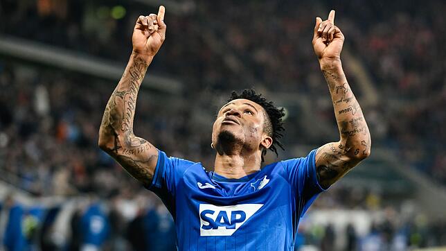Hoffenheims Gift Orban wechselt auf Leihbasis nach Italien zu Hellas Verona.