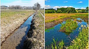 Der Bächlebach in Worblingen vor und nach der Renaturierung 2015 und 2016. Der Biotopverbund soll solche Biotope miteinander vernetzen, ...