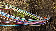 Anschluss ans Glasfasernetz und damit ans schnelle Internet sollen nun alle Haushalte in Friedrichshafen bekommen, die weniger als 30 ...