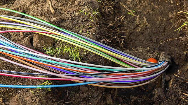 Anschluss ans Glasfasernetz und damit ans schnelle Internet sollen nun alle Haushalte in Friedrichshafen bekommen, die weniger als 30 ...