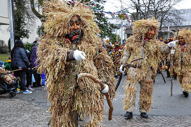 Die Hoorigen Bären der Singener Poppele in Aktion beim Fasnet-Mäntig-Umzug 2019 in Gottmadingen.