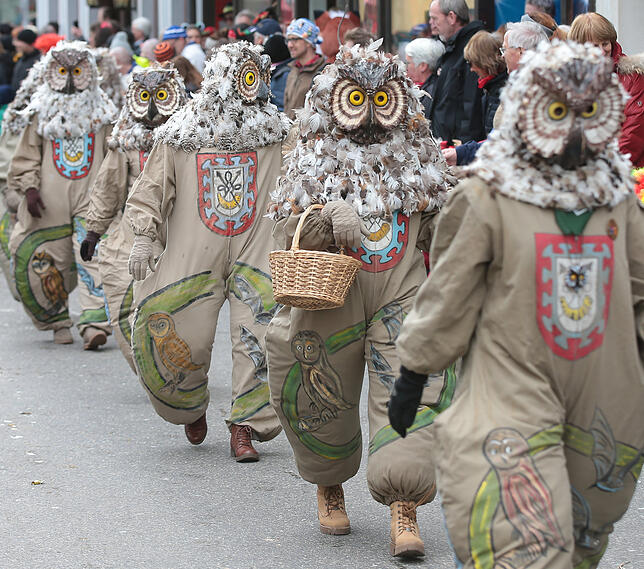Bild 12: Bilder vom Fasnachtssonntag in Donaueschingen (Teil 2)