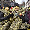 Bild :