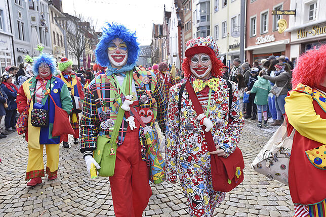 Bild 6: Bilder vom Umzug der Südstadtclowns am Fasnetmontag (Teil 2)