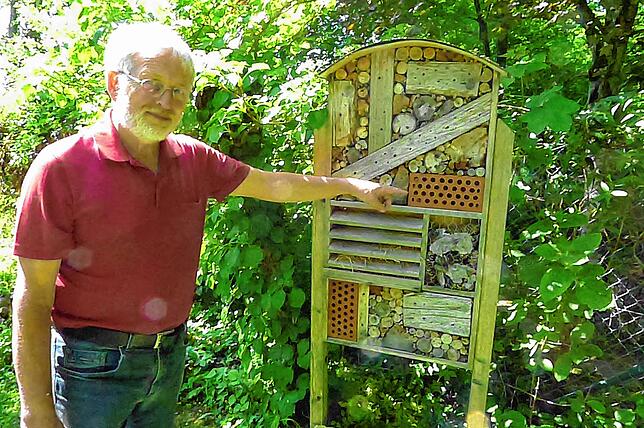 mdx 19 deg insektenhotel_4 Rolf Servos zeigt ein nicht ganz optimales Insektenhaus in seinem Naturgarten. Die Löcher in den Backsteinen sind im Durchmesser zu ...