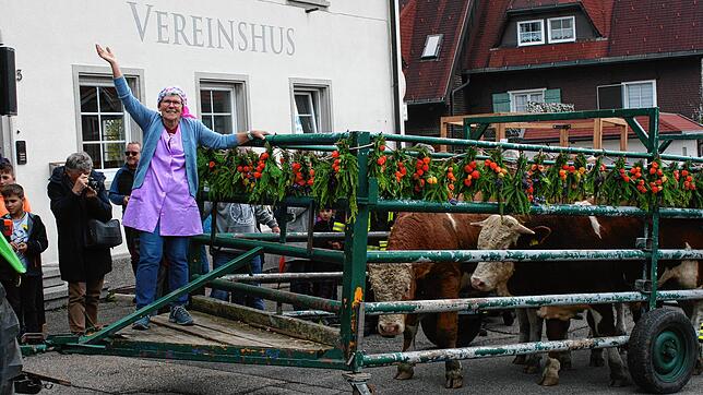 Stolze Schwergewichte: Das bunt geschmückte Gatter mit den vier Jungbullen und der Bäuerin Conny Ziller. Sie winkt in die Menge, und die ...