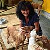 Marina Möbius mit ihren Schützlingen in Mihiripenna. Die von ihr gegründetre Dog Care Clinic behandelt pro Tag etwa 100 Patienten ambulant.