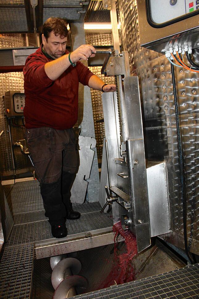 Weinbautechniker Achim Schien ist im Winzerverein Hagnau für die Kellerei und die Abfüllung zuständig. Gerade lässt er vergorene Maische ...