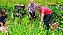 Ein Blick zurück auf eine der vielen Aktivitäten der Naturparkschule, wie hier eine Aktion im Jahr 2022 im Schulgarten des ...