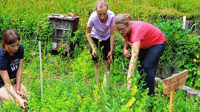 Ein Blick zurück auf eine der vielen Aktivitäten der Naturparkschule, wie hier eine Aktion im Jahr 2022 im Schulgarten des ...