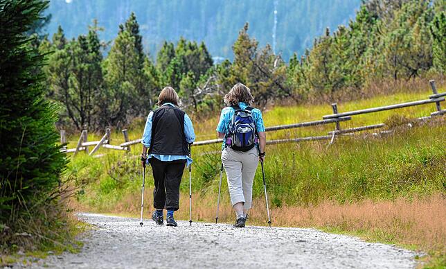 Der Schinkenweg verläuft über insgesamt 12 Kilometer am Tiefenhäuser Moor vorbei durch Wald und über Wiesen bis hinauf zur Albtalschanze.