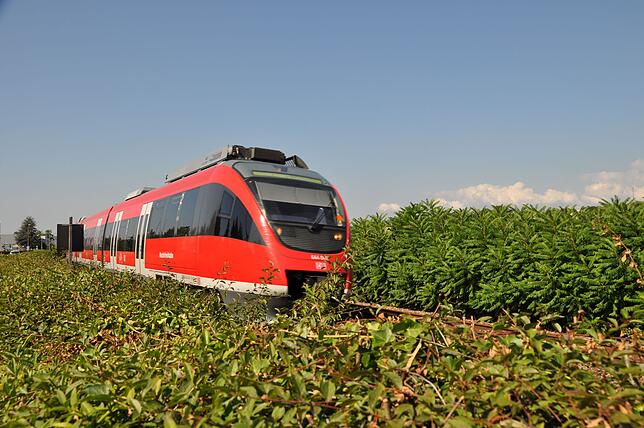 Bild 1: Marode Technik und organisatorische Schwierigkeiten: Ein Lokführer berichtet über die Probleme der Bahn auf der Hochrheinstrecke