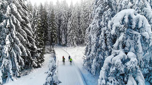 Skilanglauf auf der Thurnerspur: Der Hochschwarzwald ist für viele Wintersportler attraktiv.