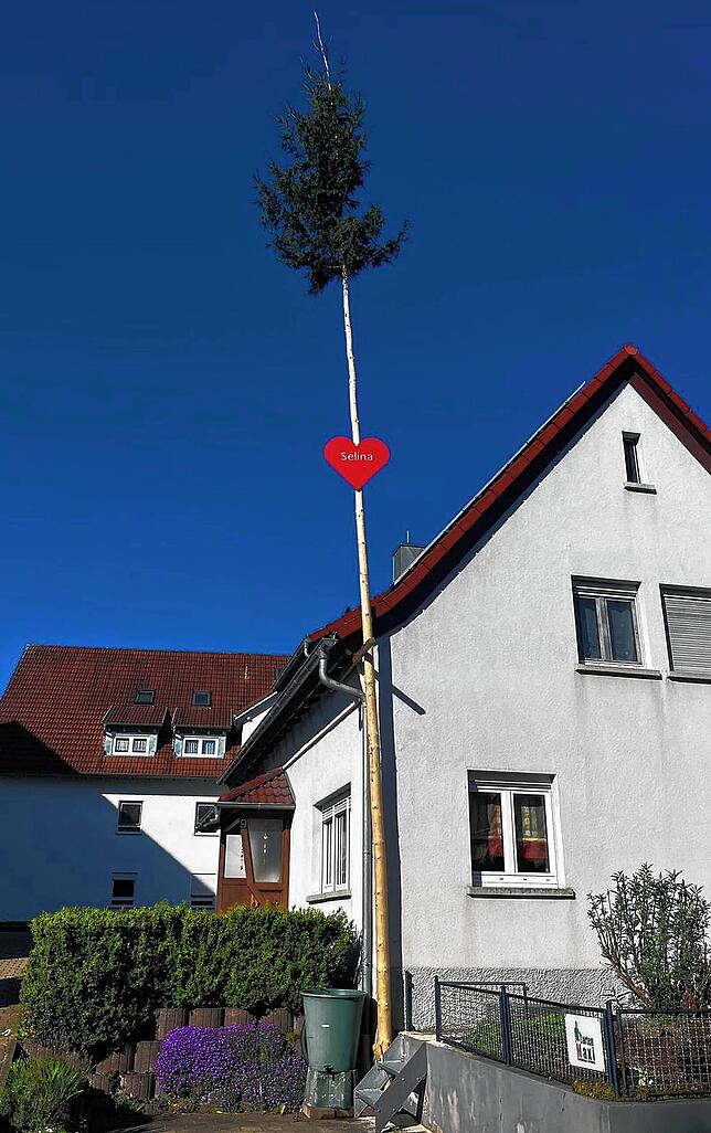 Ein weiterer Baum steht in Denkingen.