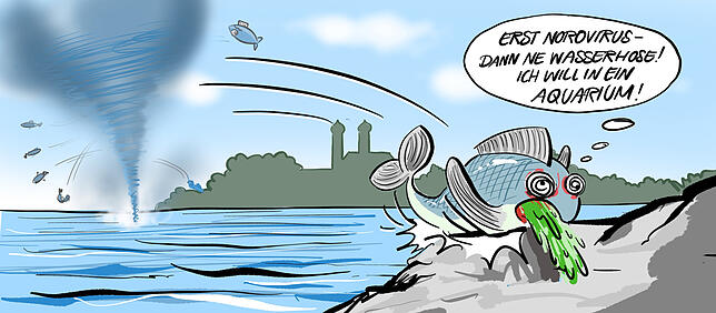 Bild 6: So bunt war das Jahr in Friedrichshafen: Ein Rückblick in Karikaturen