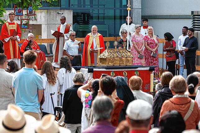 Bild 13: Traditionelles Hausherrenfest in Radolfzell – Die besten Bilder