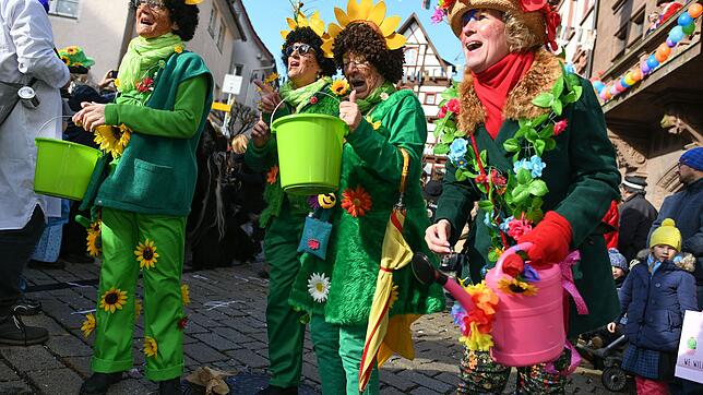 Noch sei die Fasnet in Meßkirch gut verankert, sagt Holger Schank, der neue Zunftmeister der Katzenzunft. Unser Archivbild zeigt (von ...