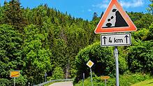 Hier können jederzeit Steine auf der Fahrbahn liegen: Gefahrenzeichen in Happach.