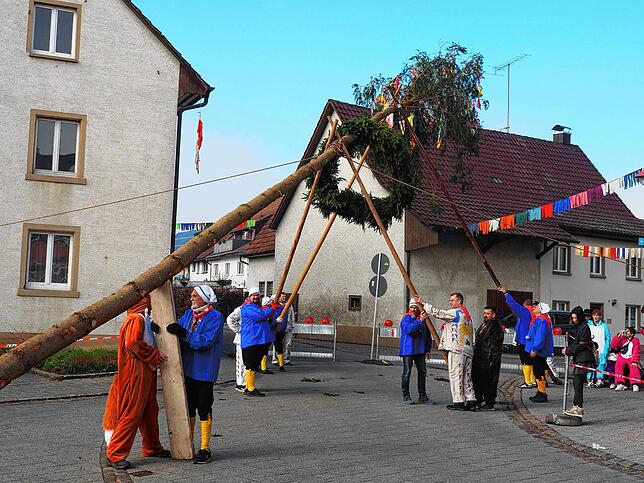 Bild 27: Bilder vom Narrenbaumstellen in Altenburg
