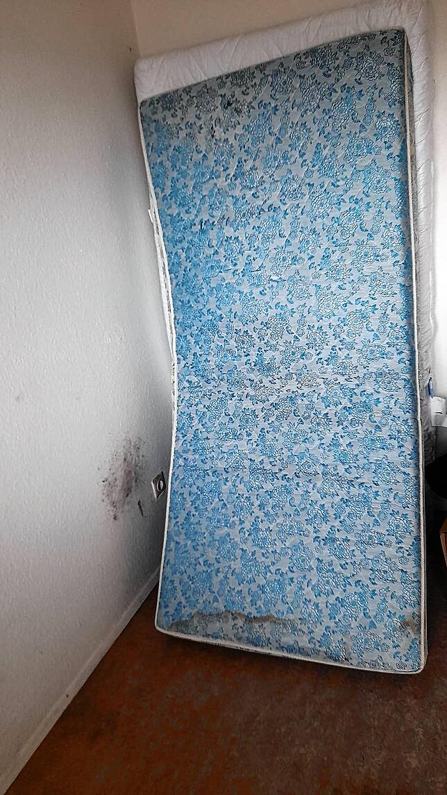 Eine schimmlige Wand und eine siffige Matratze in einem der Zimmer.
