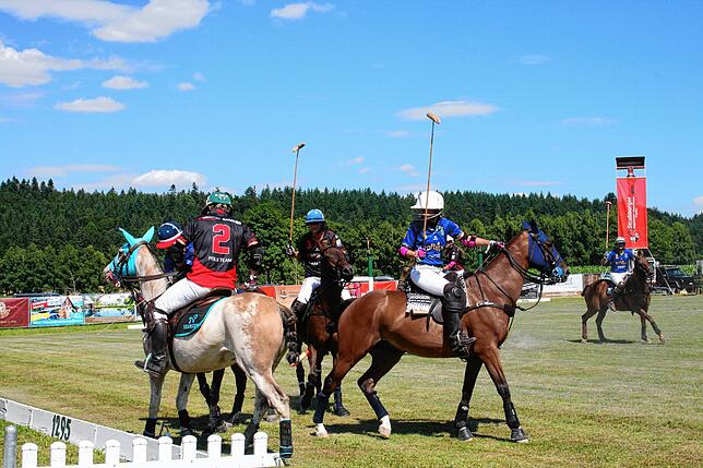 Bild 1: So schön war das Poloturnier in Sylvenstal