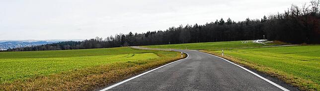 Bild 2: Die Ortsteile setzen sich durch: Die Kreisstraße zwischen Dingelsdorf und Dettingen wird keine Fahrradstraße