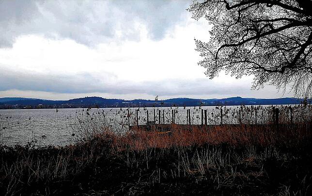 Der Uferweg führt an einem Holzsteg, dicht umgeben von hohen Bäumen, vorbei.