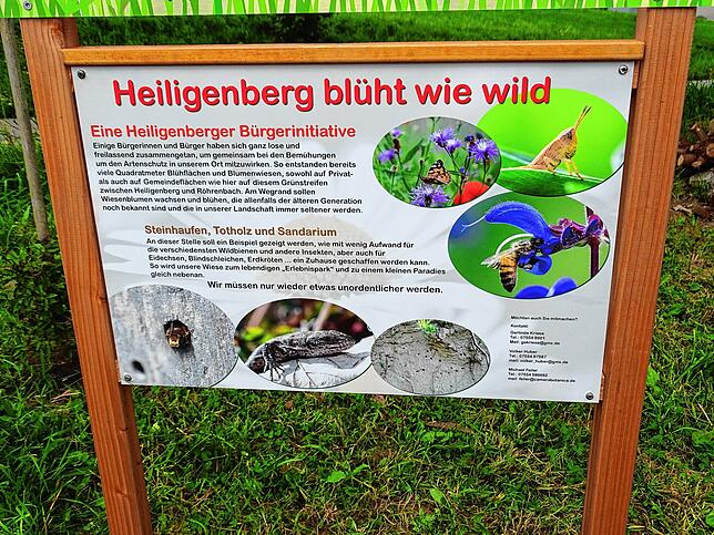 „Heiligenberg blüht wie wild“ dank Einwohnern, sie sich für Artenvielfalt einsetzen.