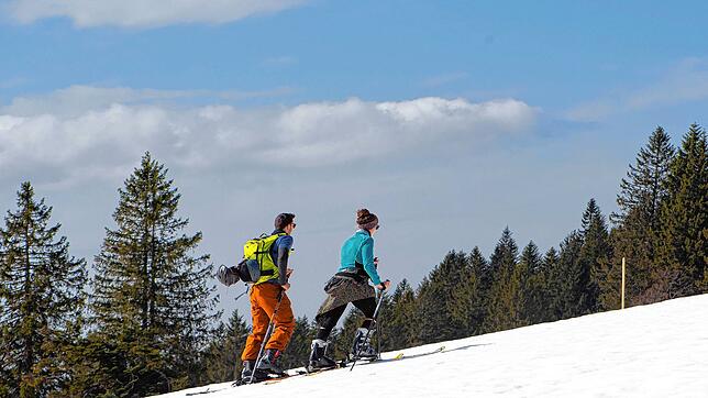 Nur Tourengeher hatten am Feldberg ihren alpinen Spaß. Felle drauf und bergan geht die Wanderung in Richtung Gipfel.