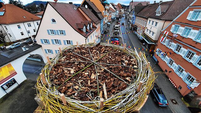 Das neue Nest mit Heu und Hackschnitzeln sowie ein paar Zweigen. Im Hintergrund ist die Hauptstraße zu sehen.