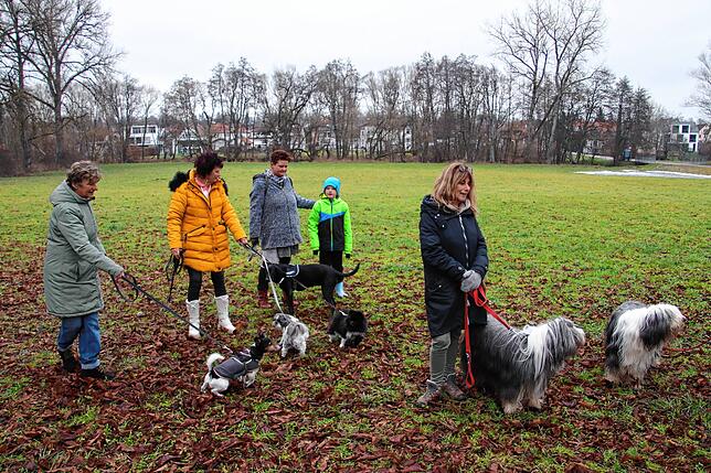 Beim Aufeinandertreffen all der vielen Hunde gibt es erstmal lautes Gebelle und Gekläffe, bis jeder seinen Platz gefunden hat.