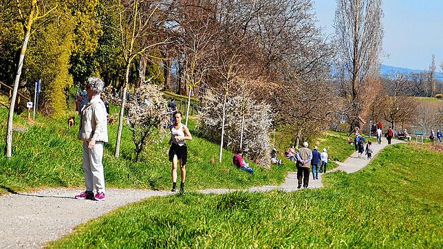 Bild 5: Auf Abstand am Corona-Sonntag: Wie und wo sich Ausflügler begegnen, wenn die Uferpromenade gesperrt ist