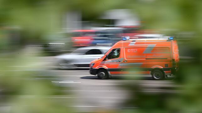 Die Mutter und ihre beiden Kinder wurden bei dem Unfall verletzt. (Symbolbild)