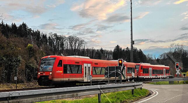 Bild 4: Good News: Ein genehmigtes Balkonkraftwerk in Konstanz und Nachwuchs bei den Schwänen am Bodensee