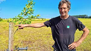 Landwirt Christoph Trütken trennt seine Viehweiden bei Bad Dürrheim durch Baumreihen und Hecken. Das Pflanzen der Stecklinge geht ...