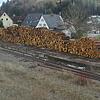 Große Holzmengen warten im Bahnhof Immendingen derzeit auf den Abtransport.