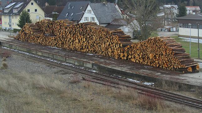 Große Holzmengen warten im Bahnhof Immendingen derzeit auf den Abtransport.