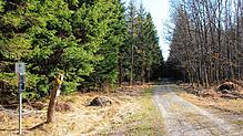 Ein bisher dichtbewaldetes, sumpfiges und unebenes Teilstück des Weges wurde nun zum radfahrtauglichen Waldweg umgestaltet.