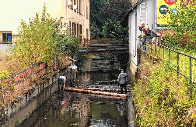 Auch Baumstämme kommen zum Einsatz.