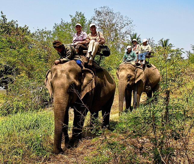 Gehört in Thailand dazu: ein Ausflug auf dem Rücken eines Elefanten.