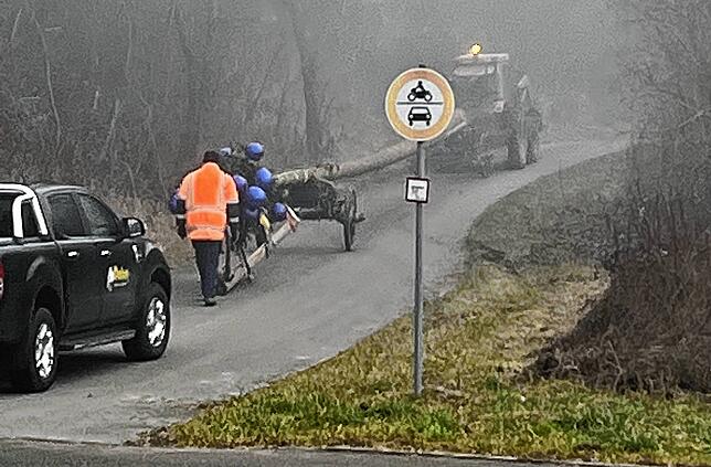 Am Rande des Nebels und kurz vor Espasingen findet auch der Espasingen Narrenbaum seinen Weg in Richtung Dorf…