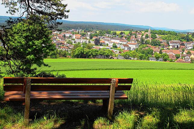 Bänkle mit Blick auf Stadt vom Lindenbuck.