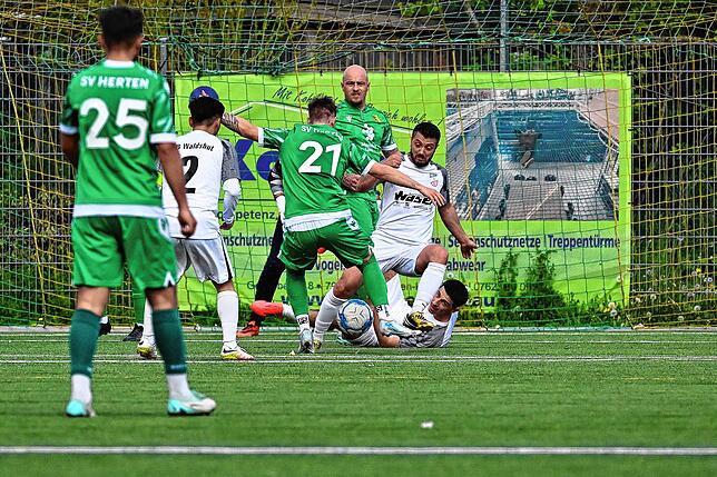 Bild 37: SV Herten besiegt den VfB Waldshut mit 6:2 – und wir haben Fotos!