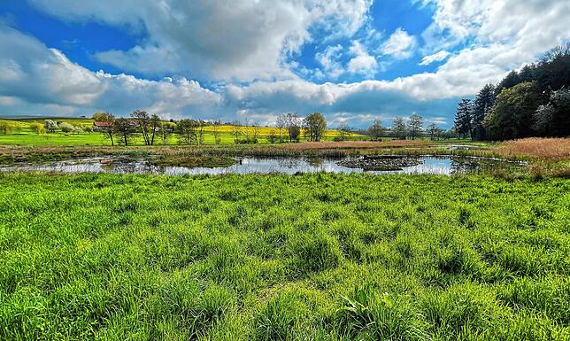Optisch reizvoll und ökologisch wirksam: Die neue Weiher-Landschaft zwischen Bambergen und Lippertsreute, die die Stadt in Kooperation ...